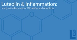 Study on Luteolin Anti-Inflammatory benefits