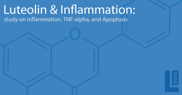 Study on Luteolin Anti-Inflammatory benefits