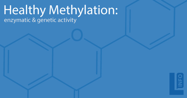 Healthy Methylation - enzymatic & genetic activity information