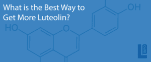 What is the Best Way to Get More Luteolin? Luteolin Info